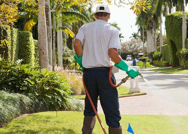 About Smiths Station AL Pest Control